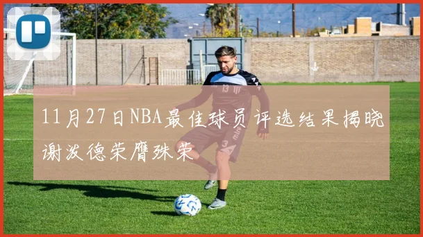 11月27日NBA最佳球员评选结果揭晓谢泼德荣膺殊荣