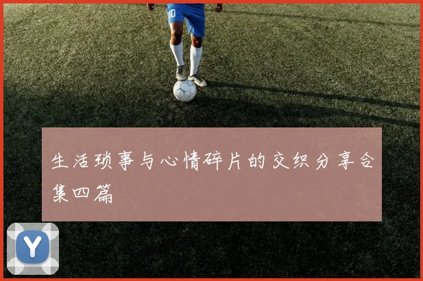 生活琐事与心情碎片的交织分享合集四篇