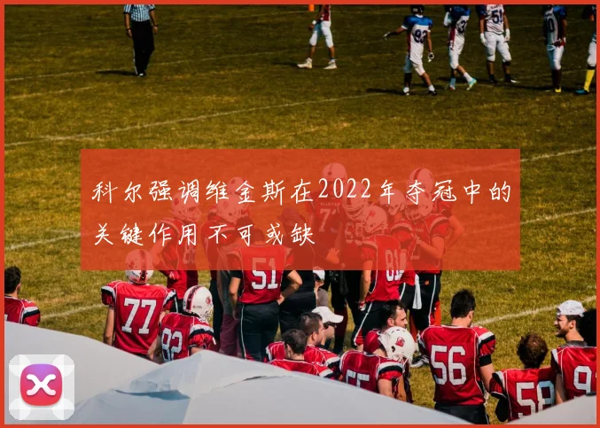 科尔强调维金斯在2022年夺冠中的关键作用不可或缺