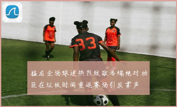 猛龙全场球迷热烈致敬洛瑞绝对功臣在垃圾时间重返赛场引发掌声